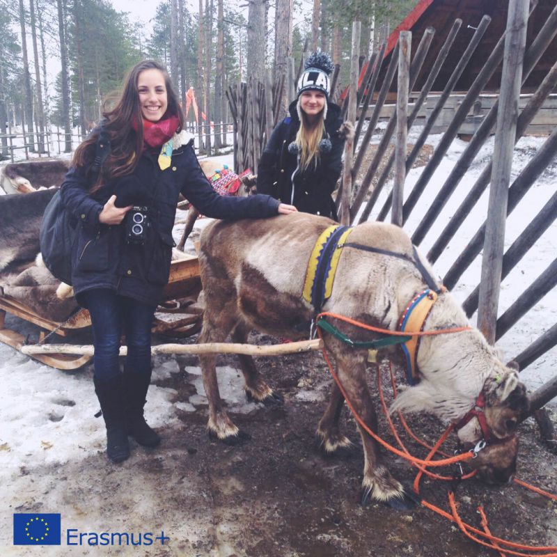 Erasmus students visiting Lapland and seeing reindeer