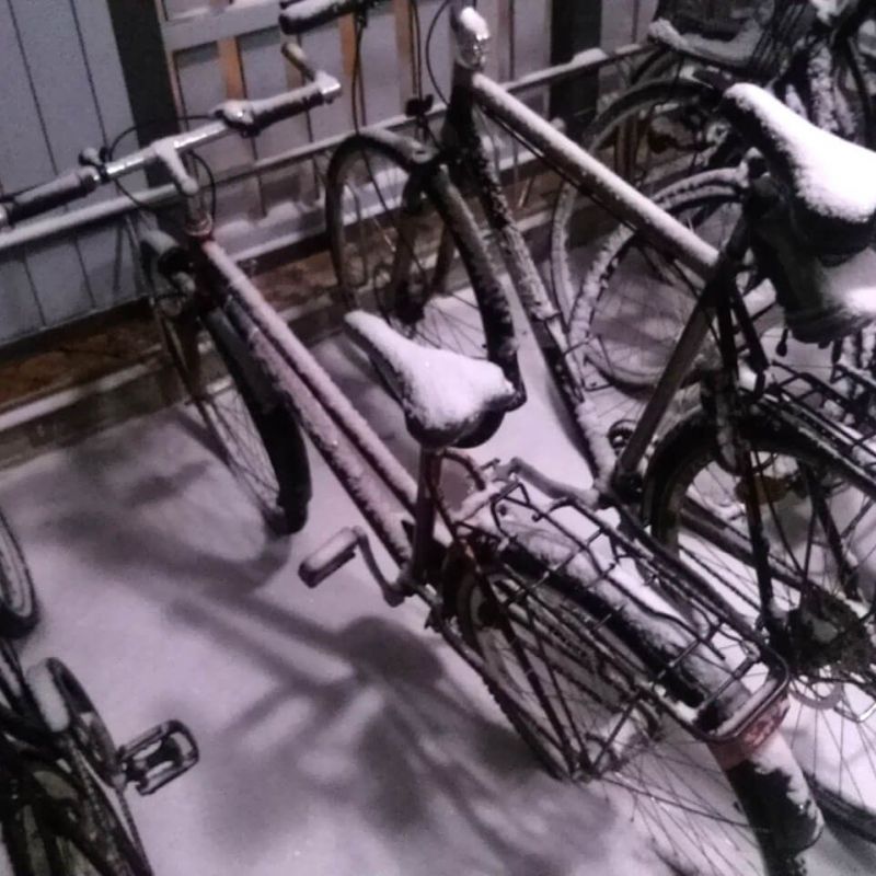 brahe_snowy-bikes.jpg